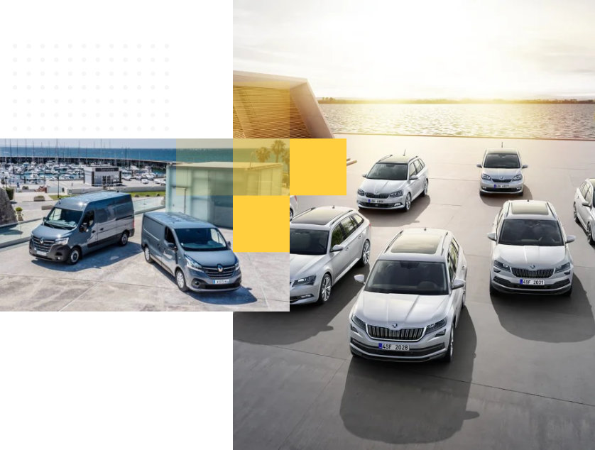 Oferta <em>flotowa</em>